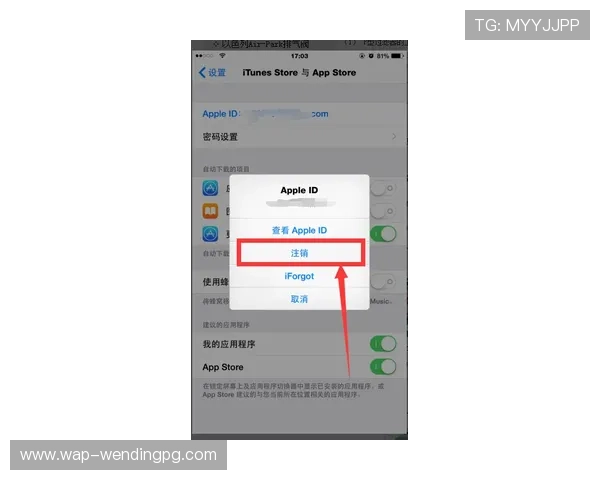 苹果手机用户下载安装问鼎国际app的详细流程，确保每一步操作都顺利完成