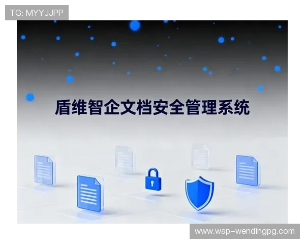 问鼎cn浏览器入口官网安全保障措施及隐私政策，确保用户上网安全无忧