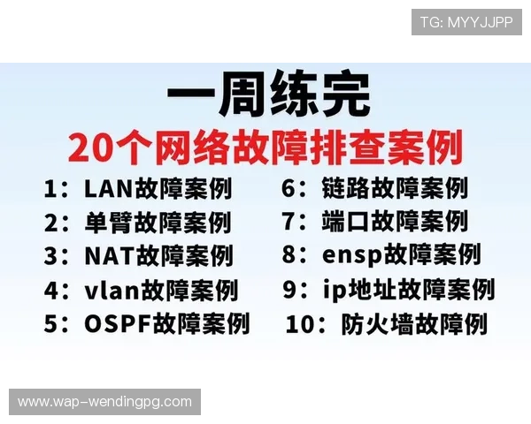 问鼎网页版登陆遇到问题怎么办详细解决方案与常见故障排查