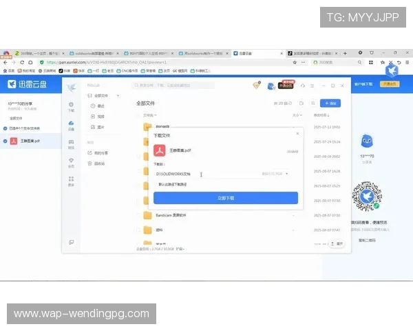 PG问鼎官网下载链接完整地址，快速获取官方正版游戏资源推荐