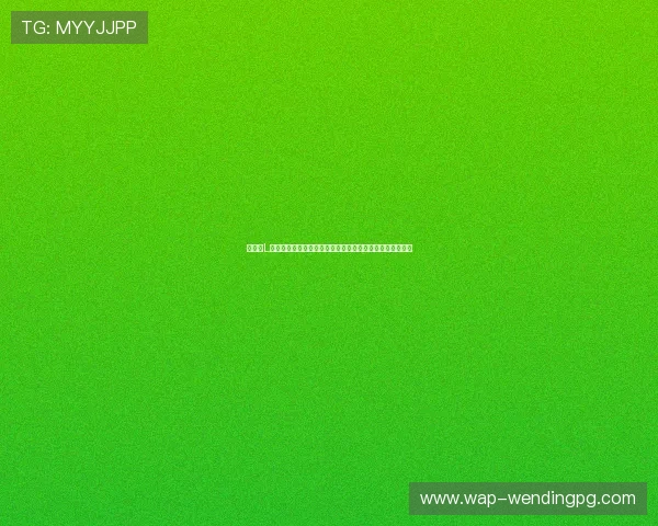 世界杯L组积分榜实时更新最新排名情况全面解析助你掌握比赛动态